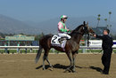 Fame And Glory finished last in the Breeders' Cup Marathon