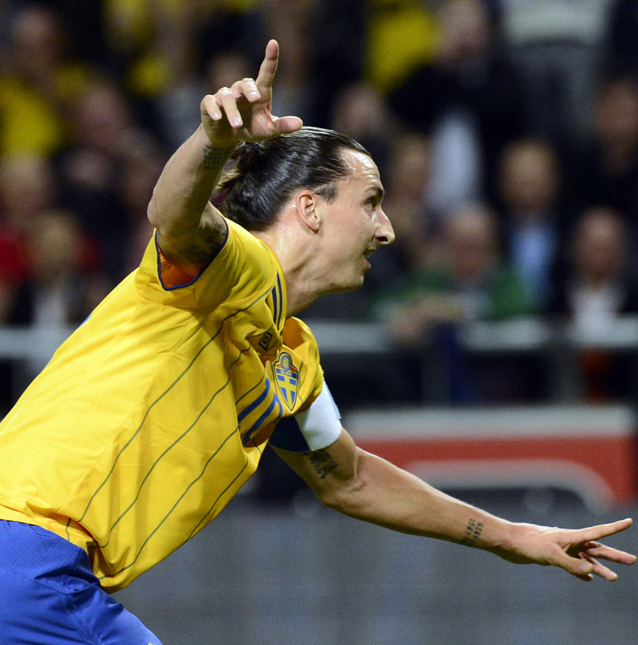 Zlatan Ibrahimovic watches on as the ball hits the back of the net