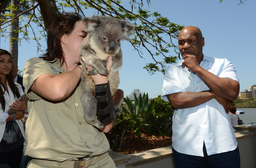 Mike Tyson refuses to touch a koala