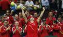 David Ferrer lifts his arms in triumph