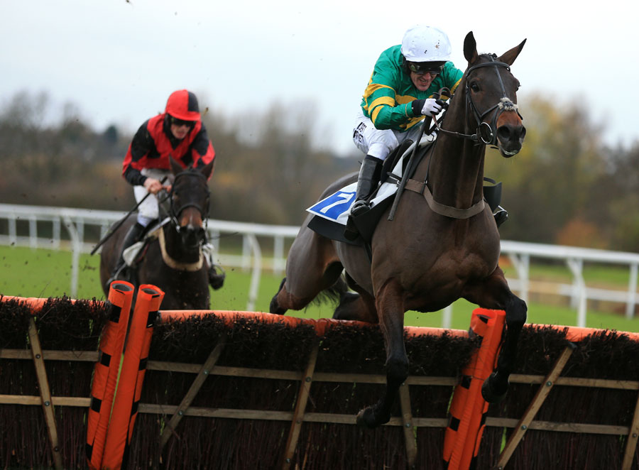 Tony McCoy and Open Day fly the last hurdle