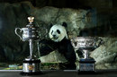 Funi the panda checks out the Australian Open trophies