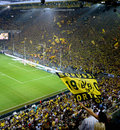 A general overview of the Signal Iduna Park