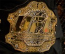 Georges St-Pierre's welterweight belt
