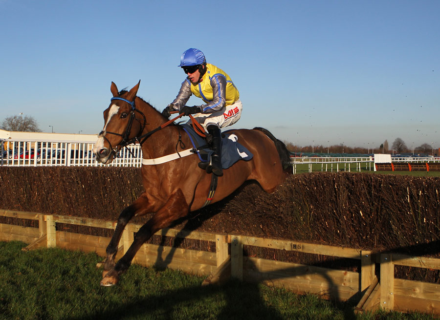 Overturn, ridden by Jason Maguire, sails over a fence