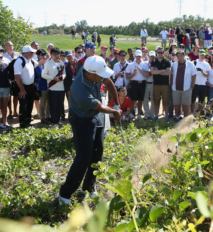 Tiger Woods hits out of a bush