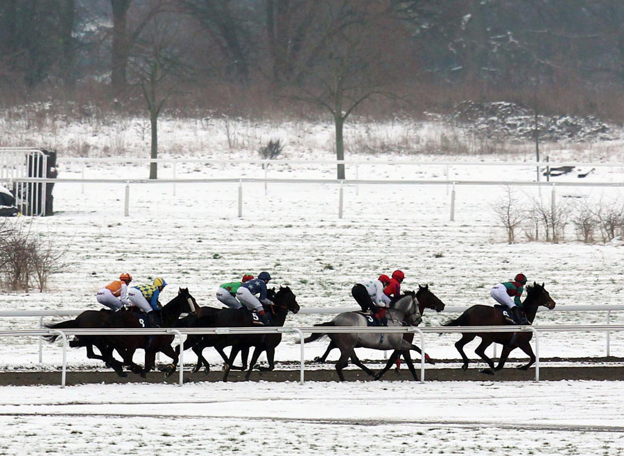 Horses race through the snow