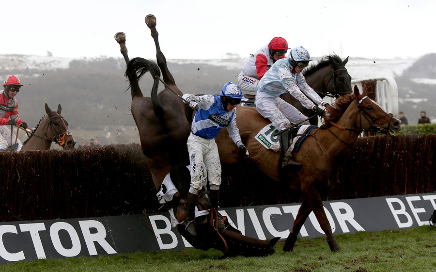 Bold Sir Brian is a faller in the Murphy Group Chase