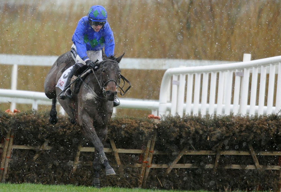 Ruby Walsh steers Hurricane Fly to victory 