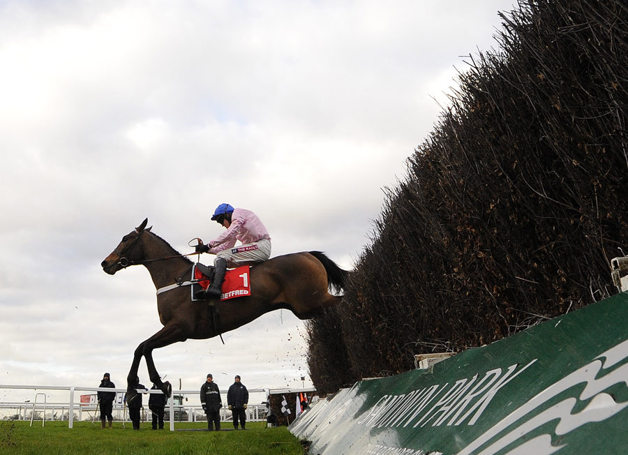Captain Conan, ridden by Barry Geraghty, clears a fence 