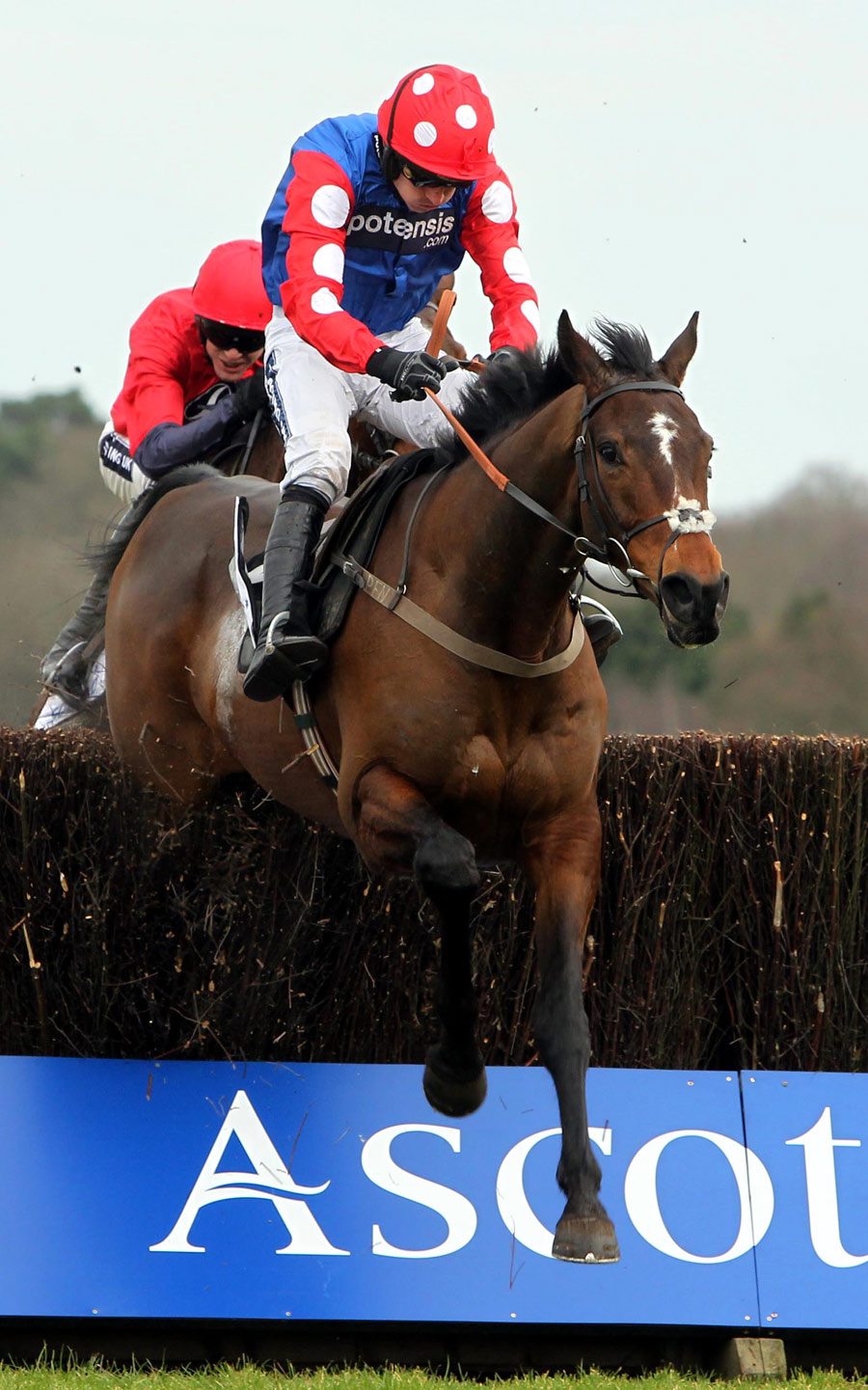 Rocky Creek, ridden by Ruby Walsh, clears the last in the Reynoldstown Novices' Chase