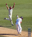 Neil Wagner had Jonathan Trott caught behind for 37