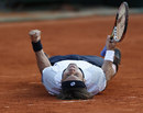 David Ferrer celebrates on the ground