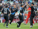 New Zealand celebrate the wicket of Michael Lumb