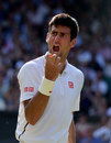 Novak Djokovic screams in delight