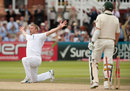 Andrew Flintoff celebrates his wicket