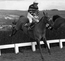 L'Escargot and Tommy Carberry clear the last fence 