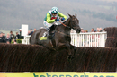 Sam Thomas rides Denman to victory in the Cheltenham Gold Cup