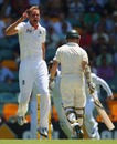 Stuart Broad celebrates the wicket of Chris Rogers