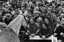 Desert Orchid is shown to the crowd