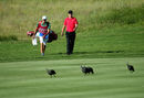 Not even the local wildlife could prevent Ross Fisher from taking the halfway lead