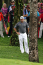 Lee Westwood stands over his ball in the rough on the 10th hole