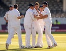 James Anderson takes the plaudits after taking a wicket