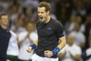 Andy Murray celebrates victory in the Davis Cup
