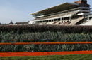 A general view of the last fence at Cheltenham
