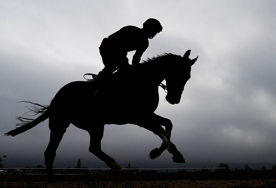 Patrick Mullins riding Bordini on the gallops at Cheltenham racecourse