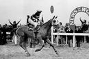 L'Escargot and Tommy Carberry win the News of the World Grand National