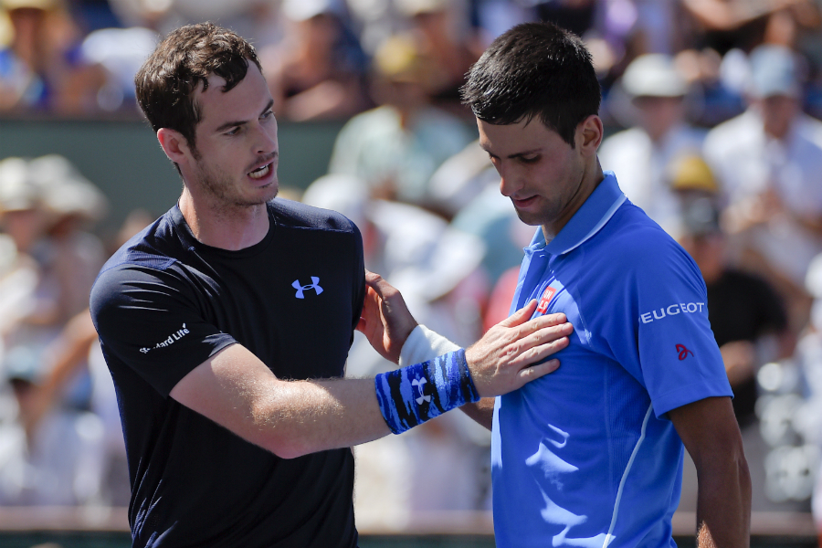 Andy Murray congratulates Novak Djokovic