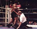 Mike Tyson floors the referee