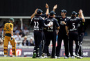 England celebrated after Tim Bresnan saw the back of Tim Paine